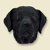 Black Lab Head for Conversation Concepts Doogies