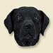 Black Lab Head for Conversation Concepts Doogies