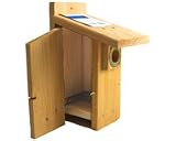 Western Bluebird Ultimate Bluebird House