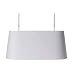 Oval Pendant Light