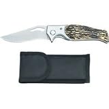 Faux Bone Liner Lock Knife