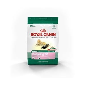 Royal Canin Mini Breed Baby Dog (30)