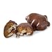 Dr. John's® Sugar Free SimplyXylitol® Chocolate Covered Pecan Caramel DecaDENTS