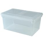 Iris File Storage Box