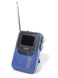  : Casio SY21  LCD Television