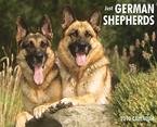 Just German Shepherds 2010 Wall Calendar