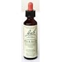 Bach Flower Essences Flower Essence Rock Rose