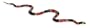 Safari 257429 Coral Snake Animal Figure - Sold As Single Piece