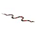 Safari 257429 Coral Snake Animal Figure - Sold As Single Piece