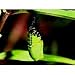 Insect Metamorphosis (VHS)