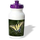 Bob Molchan Photography Nature - Butterfly Yellow Blue Black Flying - Water Bottles