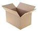 Double Walled Cartons Box 457x305x254mm Pack of 15