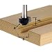 Festool 491004 Plunge ovolo bit HW 17mm R3