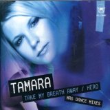 Take My Breath Away/Hero