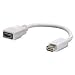 Electronics : LINDY Mini-DVI to HDMI Adapter
