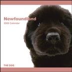 Newfoundland 2009 Wall Calendar