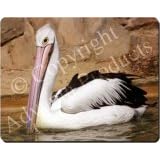 PELICAN BIRD Mouse Mat / Pad