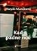 Kad padne noć (Paperback)