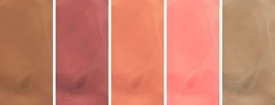 Nyx Cosmetics Luscious LIP Gloss Pallet- The Nudes (Lgp-04)