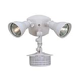 Security Lighting - Motion Detector - P272S