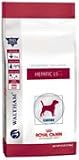 liver disease dog diet 21O7RH1fs2L. SL160 Liver Disease Dog Diet