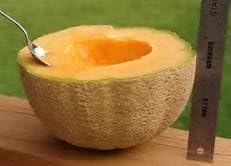 50 - Honey Rock Cantaloupe Seeds - Non-Gmo - Combined Shipping