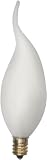 60 Watt 120 Volt Incandescent Bulb