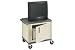 Plastic Utility Cart 2 Shelves Gray With Security Cabinet