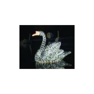 Giant Commercial Acrylic LED Black Male Swan Christmas Display -1,264 LED Lights