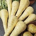 SUTTONS SEEDS: Parsnip F1 Gladiator Seeds (350 seeds)