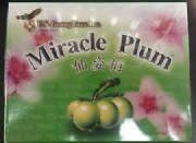 Miracle Slim Plum