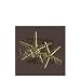 Gold Starfish Card Holiday Greeting Cards