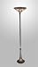 Search : Z-Lite H14-3-22T Winter Garden Tiffany Torchiere Lamp