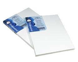 Winsor & Newton Stretched Cotton Art Canvas 24 inch x 48 inch Pack of 3 Shopper Review Winsor & Newton Stretched Cotton Art Canvas 24 inch x 48 inch Pack of 3 Shopper Review