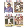 2008 Topps Chicago Cubs Complete Team Set ( 21 - Baseball Cards from both Series 1 & 2) Includes Alfonso Soriano, Derrek Lee, Carlos Zambrano and more !