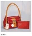 Veritas Journey Bible and Purse NLT
