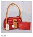 Veritas Journey Bible and Purse NLT