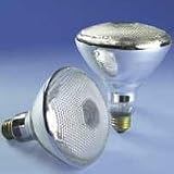 Osram Sylvania #15627 100W Green Flood Lamp
