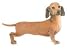 Wandaufkleber - Motiv Hund Charles - Dackel