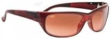 Serengeti Trento Sunglasses FRAME AND LENS: Serengeti Trento Sunglasses - Tortoise Frame, Drivers Gradient Lens Model 7053