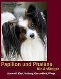 Papillon und Phalène (Kontinentaler Zwergspaniel) für Anfänger: Kauf, Auswahl, Haltung, Gesundheit, Pflege