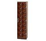 CD Storage Cabinet 21OGrTDefpL. SL160 CD Storage Cabinet