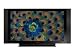 Pioneer Elite PRO-150FD 60 Inch Plasma TV