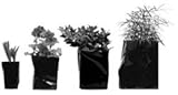 IMAGE OF Grotek GROW BAGS 2 GALLON 0.064MM (500/BOX) AVAILABLE IN CASE QUANTITIES ONLY 724402