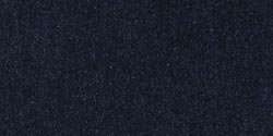 Bazzill Metallic Cardstock 12 Inch X12 Inch -Galaxy 