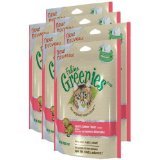 dental for cats:6-PACK Greenies Felines - SALMON (1.2 lbs)