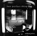 Last Perfect Thing-Without Justice