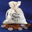 Bankers Bag Old Rare Coins