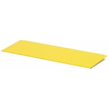 Brady Prinzing Extra Shelf for Lockout Cabinet