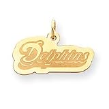 14K Miami Dolphins Medium Team Name Charm - NF1045